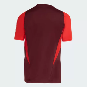 Camisa Internacional Comissão Técnica Vinho 24/25