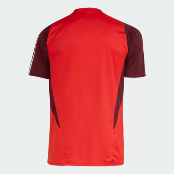 Camisa Internacional Treino Vermelha 24/25